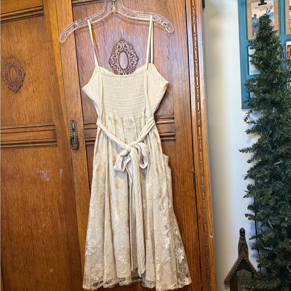 To the Max Beige Lace Midi Dress - Picture 5 of 10